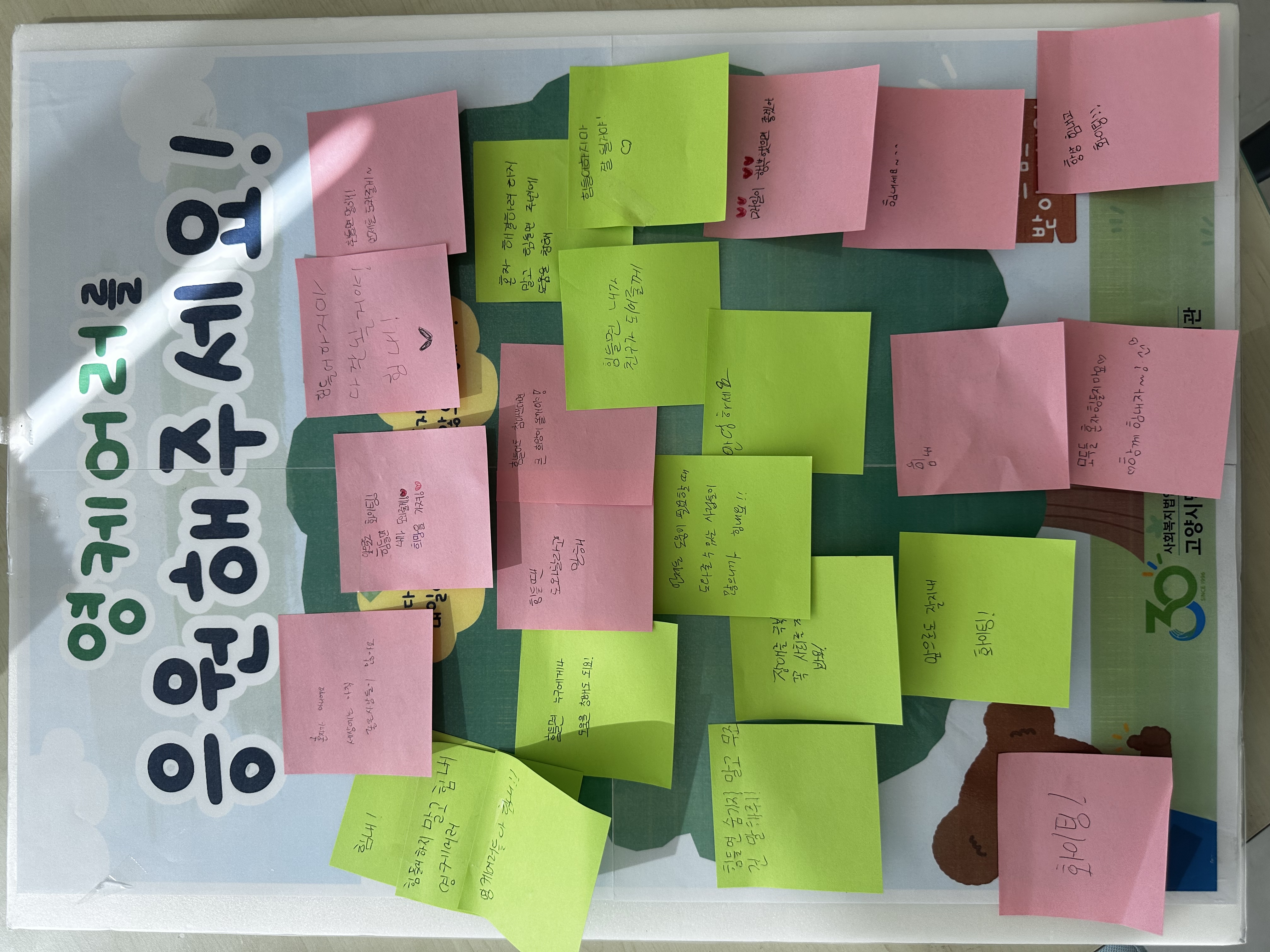 KakaoTalk_20260623_165904627.jpg